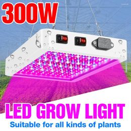 Kweeklampen Indoor Plantengroei Lamp Led Licht Voor Planten Volledig Spectrum 300W 500W Phyto Hydrocultuur Zaailingen bloem Fitolamp Tent