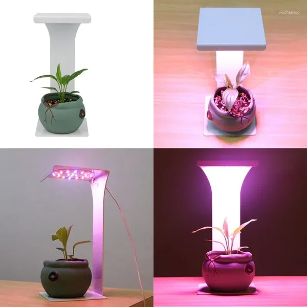 Grow Lights Indoor USB LED Light Desk Lampe Timer Phyto Spectrum Full Spectrum Plant pour fleurs succulentes Cactus Ir Vu
