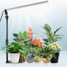 Grow Lights JCBritw Desktop LED Grow Light Bar T12 Blanco 6500K Lámpara de cultivo de plantas de mesa de espectro completo para plantas de interior Soporte ajustable YQ230927