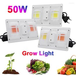 GROEP LICHTEN LED COB VOLLEDIGE SPECTRUM AC 120V 220V 50W LENS BOard Schakelaarregeling voor broeikasbouwplanten GROEP LAMP