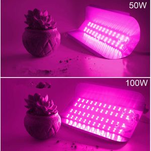 Grow Lights LED COB lodine tungstène Spectre LED grandir rose 380-840nm 100W 50W AC 220V 110V led IC plantes lumières fllood light Plan de légumes P230413