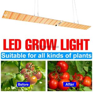 Cultiver des lumières LED panneau à spectre complet phytolampe pour les plantes poussent des semis légers tentes de serre LED Quantum Board lampes de culture intérieure YQ230927