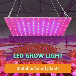 Grow Lights LED Grow Light 1000W 1500W Interior Phytolampy 220V Semillas de plantas Lámpara Panel LED de espectro completo 110V Invernadero Fito Hidroponía Bombilla P230413