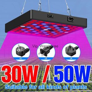 Grow Lights LED élèvent la lumière 20W 40W lampe de plante de LED à spectre complet 30W 50W lampes de culture d'intérieur lampe Phyto LED pour l'éclairage de serre de semis YQ230926 YQ230926