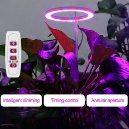 GROEP LICHTEN LED GROEIL Licht Volledig spectrum 5V USB Grow Light Strip 2835 LED -fyto -lampen voor planten Greenhouse Hydroponic Growing P230413