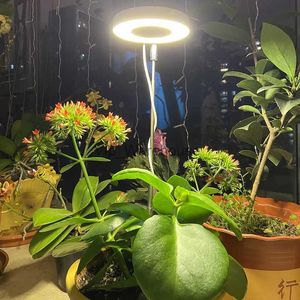 Lampes de culture LED élèvent la lampe de culture de plantes à intensité variable réglable en hauteur à spectre complet pour plantes d'intérieur bonsaï semis de fleurs hydroponiques YQ230926