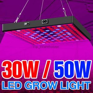 Grow Lights LED élèvent la lumière ampoule à spectre complet LED lampe de plante 30W 50W lampes de culture d'intérieur LED lampe Phyto pour l'éclairage de serre de semis YQ230926