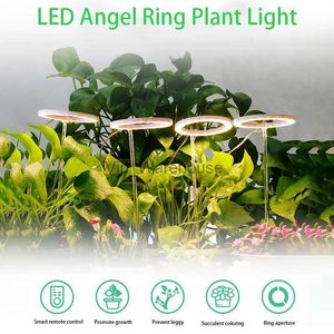 Kweeklampen LED-groeilicht Volledig spectrum LED Phyto-lamp Groeilicht Dimbaar LED-engelring Plantenlamp USB Hydrocultuur Bloemzaad Fitolamp YQ230926