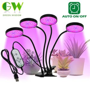 Grow Lights LED Grow Light USB Lampe de culture de plantes à spectre complet avec réglage de la minuterie à intensité variable à 5 niveaux Phyto Lamp pour plantes Flower Grow Tent P230413