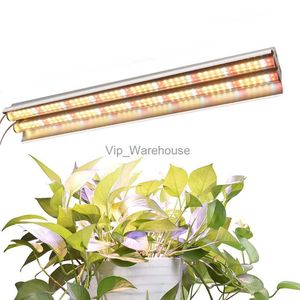 Kweeklampen LED-kweeklampen 200W volledig spectrum groeiende LED-lamp Verlichting 50cm dubbele buis plantenkroonluchter voor hydrocultuur kamerplanten YQ230927