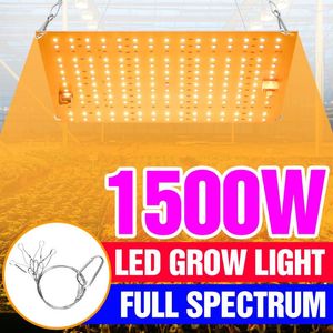 Élèvent des lumières LED lumière hydroponique spectre complet Phyto lampe UV plante Lampara 1500W 2000W pour tente de croissance de graines de fleurs d'intérieur