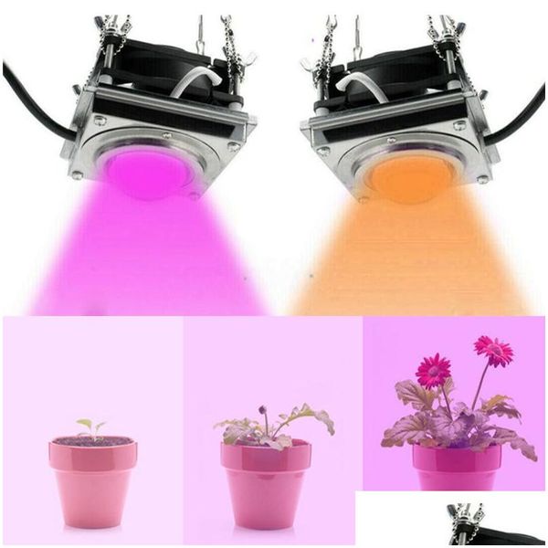 Grow Lights LED Light 2000W Plantes intérieures Cob Fl Spectrum Plant Growing Lampe Tent Box Lampes For Home Planting Flowers Drop Livrot Li dhnbn