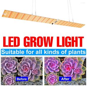 Kweeklichten LED -licht 220V Volledig spectrumlamp Plant Lamp kassen voor tent Phyto Box Indoor