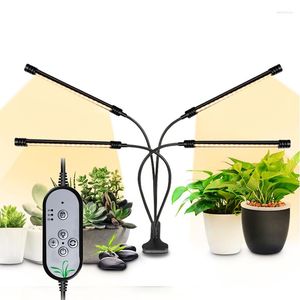 GROEP LICHTEN LED LICHT DC 5V USB met timer Dimable Full Spectrum Flexibele clip Phyto -lamp voor plantenzaailing Flower Fitolamp Home Tent