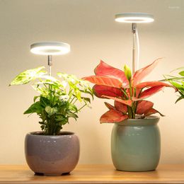 Luces de cultivo, luz LED de espectro completo para crecimiento de plantas, USB, 5V, altura ajustable, lámpara de cultivo regulable con temporizador para plantas de interior