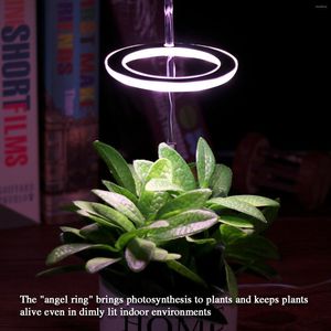 Cultiver des lumières lumière LED lampe de jardin plantes succulentes durables éclairage de croissance USB phytolampe intérieur pour les fleurs
