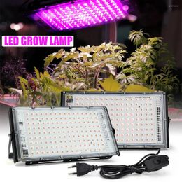 Cultiver des lumières lumière LED Phytolamp spectre complet 50W 100W 200W 300W plante lampe de culture Phyto noir pour la culture intérieure de fleurs Eu