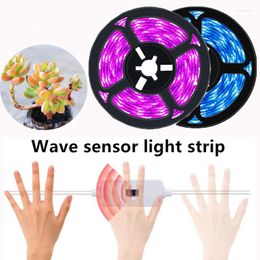 Grow Lights LED Light Strip Full Spectrum Wave Sensor Switch Lampe USB Phytolamp Pour Plante D'intérieur Hydroponique Serre Graines De Fleurs