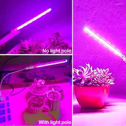 Grow Lights Led Light USB Portable Plant 10W DC5V Full Spectrum Phyto Lamp 21 Leds Rotación Flexible Interior