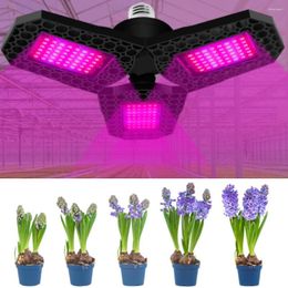 Luces de cultivo, lámpara LED Phyto E27/E26, bombilla de luz de espectro completo para plantas, AC85-265V, plántulas de interior, caja de tienda de flores, IP65 a prueba de agua