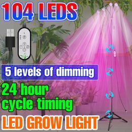 Grow Lights LED Phytolamp Full Spectrum Plants Light Serre Tente Intérieur Culture Cabinet Phyto Lampe Pour Semis Graines De Fleurs