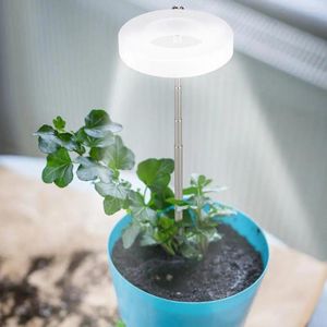 Cultivez des lumières Led plante bleu clair pour les plantes spectre complet lampe de croissance de bureau intérieur réglable