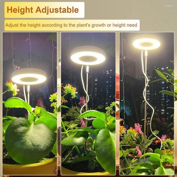 Grow Lights Led Plant Light Lámparas versátiles de crecimiento de escritorio de espectro completo con temporizador automático para interiores