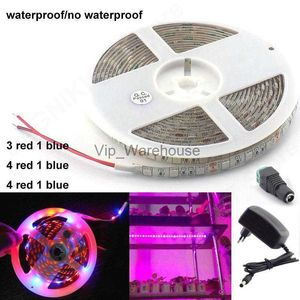 Grow Lights Bande LED élèvent des lumières 1M 2M 3M 5M 12V 2A/3A lampe de culture étanche SMD 5050 rouge bleu adaptateur d'alimentation d'éclairage V27 YQ230926