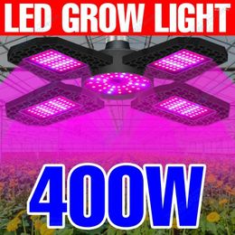Grow Lights Phyto Lamp LED Graines de plante 220V Lumière E27 Spectre complet Hydroponie Panneau Lampara Bombilla 110V Tent Bulbe