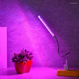 Kweeklampen Phyto Lamp USB 5V LED Licht Volledig Spectrum Rood Blauw Indoor Phytolamp Voor Planten Bloemen zaailing Kas
