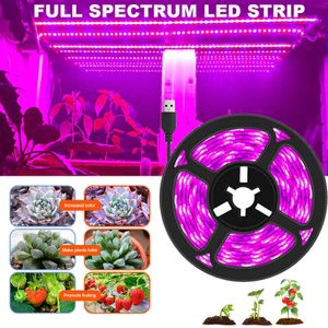 Grow Lights Phytolamp for Plante 5V Spectre complet LED USB Strip pour semis de maison 1m 2M 3M 4M 5M Phytotape Cultiver Light for Flower Greenhouse P230413