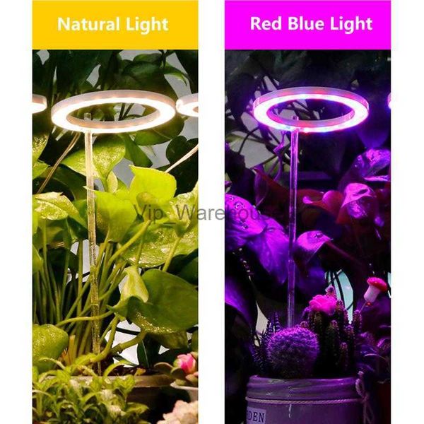 Grow Lights Plant Grow Light Plant Grow Lampe Lampe ronde intérieure pour plantes LED Ampoules végétales pour aneth vert Roses Cactus Mini Bonsaï Tournesol YQ230926