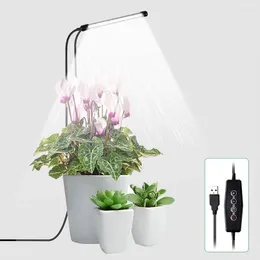 Des lumières de culture du tuyau de lampe de croissance des plantes insérée dans le sol USB Timing LED Full Spectrum 48d Imitation Fley Sunshine