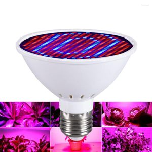 Grow Lights Plant Light Cup LED 220V E27 Bombilla de crecimiento Espectro rojo y azul 486080126200300leds DIY Fill