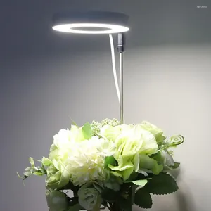 Grow Lights Plant Light LED ENCROYAGE ENTÉRIEUR Spectre complet pour les plantes de fleur de bonsaï avec une large gamme d'éclairage
