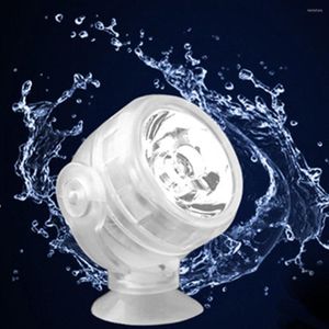 GROEP LICHTEN Professionele kleurrijke LED Spot Licht Vistank Aquarium Heldere USB Lading Lamp Decoratie Watertanks Verlichting Levers