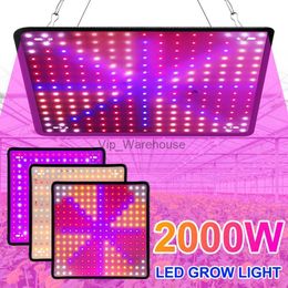 Cultivez des lumières Quantum Board LED PhytoLamp Spectre Complet 2000W Lumière des Plantes pour Plantes d'intérieur Lampe de Croissance de Serre de Fleurs US / UK / EUPlug YQ230927