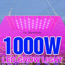 Cultivez des lumières Quantum Board LED lumière de croissance des plantes spectre complet 220 V phytolampes 1000 W ampoule de graines d'intérieur 1500 W lampes Fito éclairage de culture de fleurs YQ230926 YQ230926