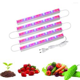 Cultivez des lumières T5 Tube Phytolamp pour les plantes 85-265V 6-30W rouge lumière bleue LED Phyto lampe spectre complet boîte de tente