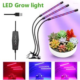 Cultiver des lumières USB 5V lumière LED Phyto lampe spectre complet Fitolampy avec contrôle pour plantes semis fleur intérieur Fitolamp boîte