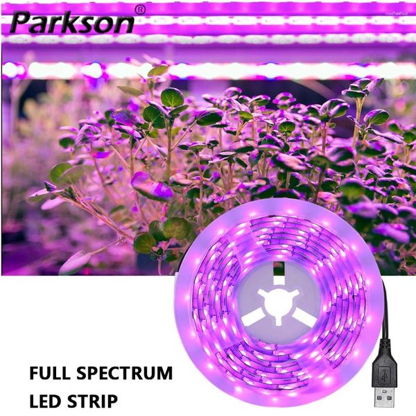 Luces de cultivo USB LED LED Full Spectrum Planta impermeable IP65 DC 5V Lámparas de fito de tira para plántulas de flores vegetales