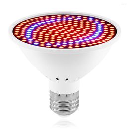 Élèvent des lumières lumière végétale E27 plante d'intérieur croissante lampe à spectre rouge bleu 85-265V semis fournitures pour la maison 126 perles