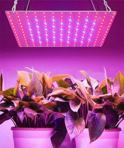 Groeiende lampen LED GROW LICHT AC85265V Volledig spectrum Plantenverlichting Fitolampy For Plants Bloemen Zaailing Cultivation2484702