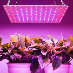 Groeiende lampen LED GROW LICHT AC85265V Volledig spectrum Plantenverlichting Fitolampy For Plants Flowers Sailling Cultivation1718739