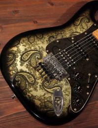 Gitaar Custom 6String Electric Guitar, Gold Hardware, Floyd Rose Bridge