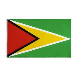 Drapeau national de la Guyane pour la décoration de vente au détail directe usine entière 3x5Fts 90x150cm bannière en polyester intérieur extérieur Usage278M