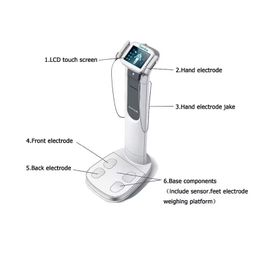 Gym lichaamsgewicht schalen VS Hot BMI Analyzer Health 3D Scanner Segmentaal lichaam 8-elektrode draagbare bio-elektrische impedantie-analyse