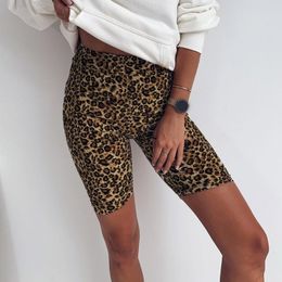 Ropa de gimnasio, pantalones cortos básicos con estampado de leopardo para mujer, mallas deportivas ajustadas para entrenamiento, pantalones de Yoga sin costuras