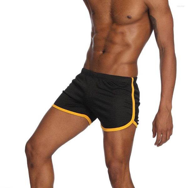 Vêtements de sport hommes Shorts gymnases Sport Fitness taille élastique caleçons courts Joggers séchage rapide vêtements de rue vêtements d'entraînement