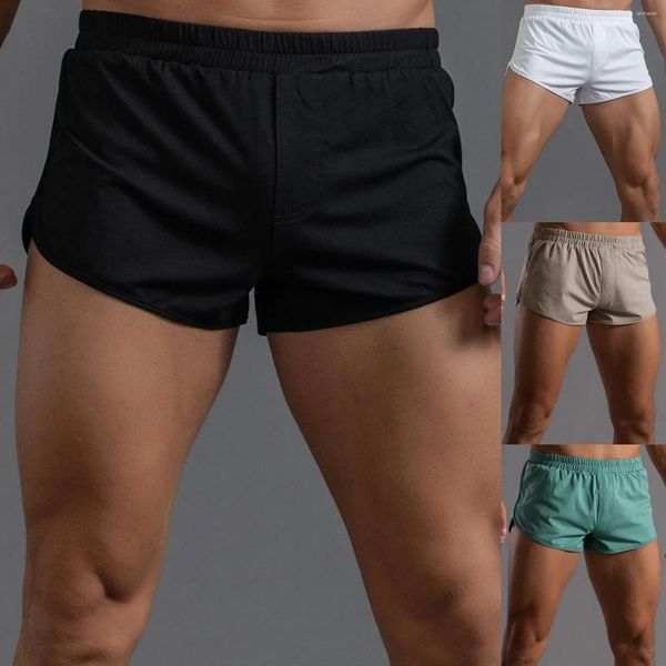 Ropa de gimnasio para hombre verano color sólido pantalones de algodón banda elástica ropa interior breve hombres bunker hombres